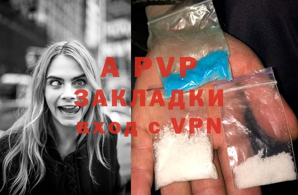 Альфа ПВП Дмитриев
