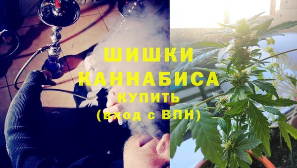 Альфа ПВП Дмитриев