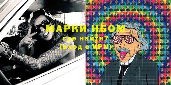 индика Няндома