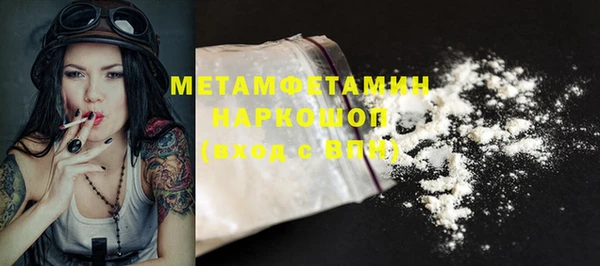 индика Няндома