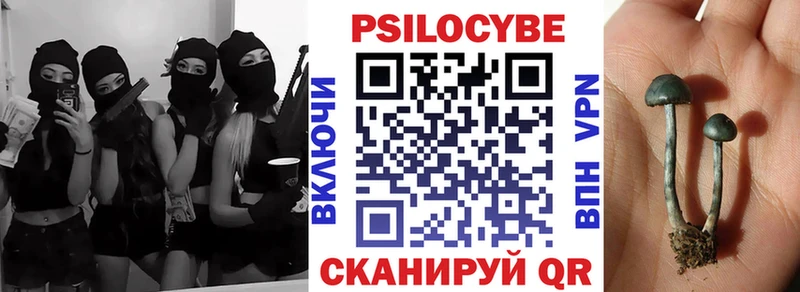 Галлюциногенные грибы Psilocybe  где можно купить наркотик  omg вход  Обь 