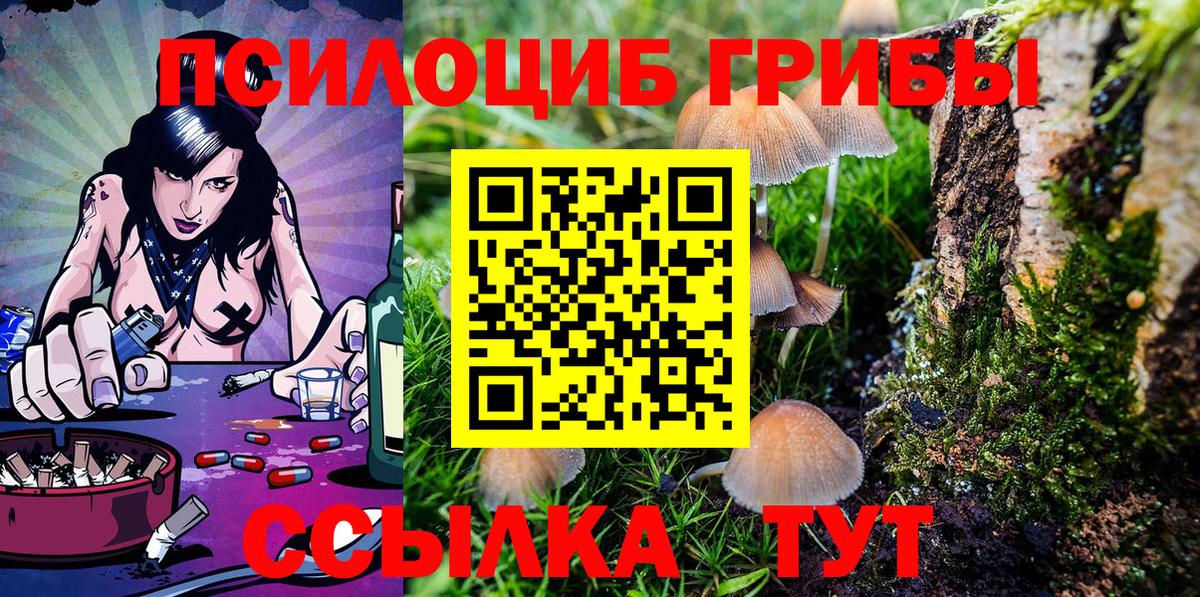 Псилоцибиновые грибы Psilocybine cubensis  Вход с VPN  Обь 